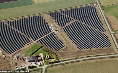 Nest scheme puts savers' cash into green investment strategy