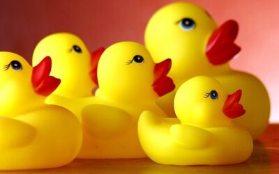 Is YOUR pension a sitting duck for scammers?