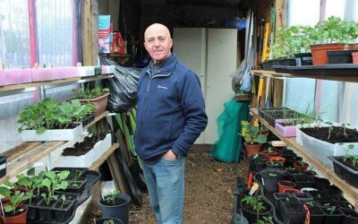 Cancelled chemo, no savings and bills mounting up – where to get help